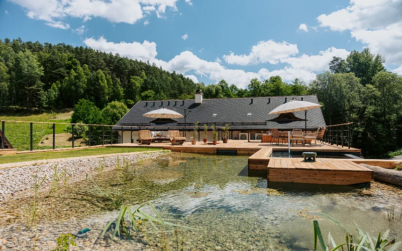 Letní krajina
